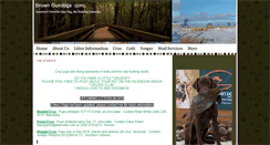 Desktop Screenshot of browngundogs.com